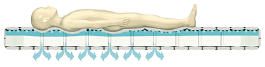 Junior Med Detail